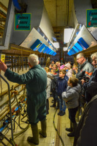 Les « jeunes pousses » en visite à la ferme !