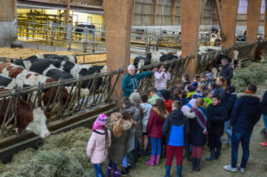 Les « jeunes pousses » en visite à la ferme !