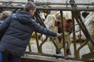 Les « jeunes pousses » en visite à la ferme !