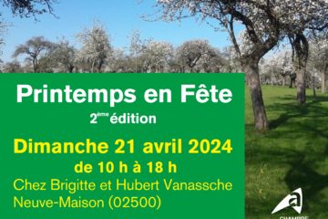 Affiche Printemps en Fête