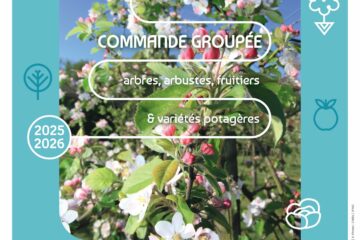 Affiche plantons le décor 2025